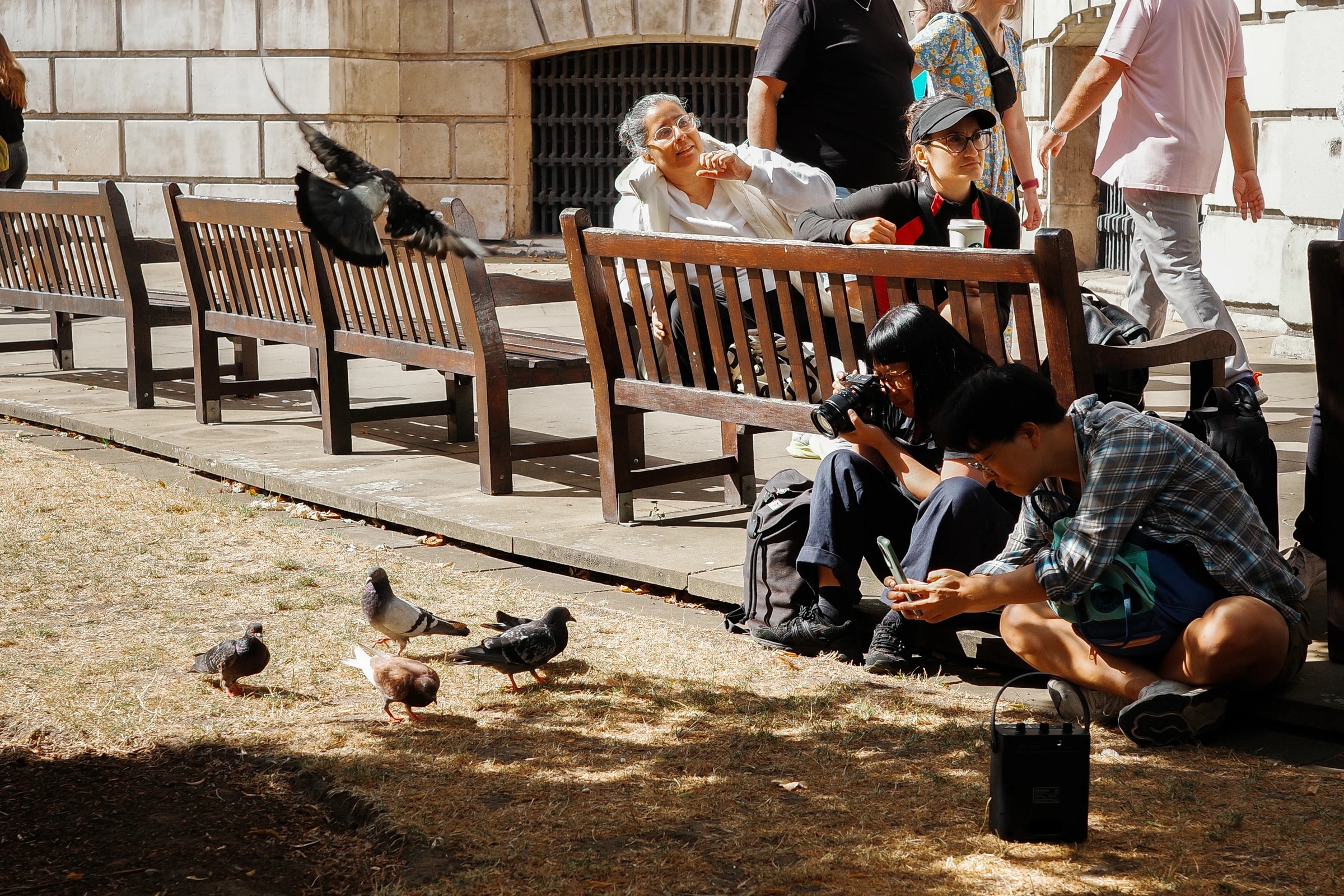 Pigeons and people sitting together beside a bench