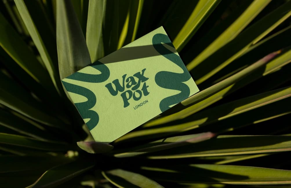A Wax Pot London business card resting in a spiky green plant